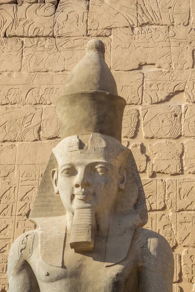 Head Shot Ramesses Vid Temple Luxor — Stockfoto