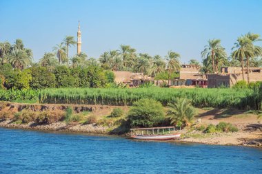Luxor ve Aswan arasında Armant bir caminin minaresi ile Nil kıyısı