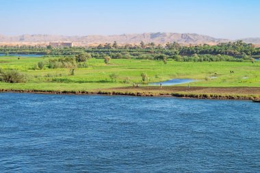 Armant Adası'nda uzak çiftçiler, Luxor yakınlarındaki