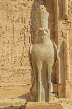 Edfu tapınağında şahin Horus'un gözüne bakmak