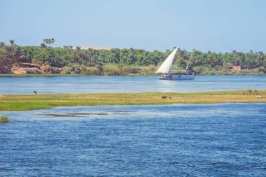 Aswan'a giderken Gaafar El-Sadık'ta Nil'de bir tekneyi geçmek