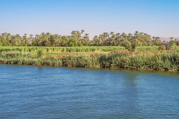 Campos Nas Proximidades Armant Entre Luxor Aswan — Fotografia de Stock