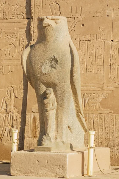 Halcón Horus Templo Edfu — Foto de Stock