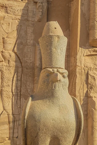 Halcón Horus Tomado Del Lado Cerca Templo Edfu —  Fotos de Stock
