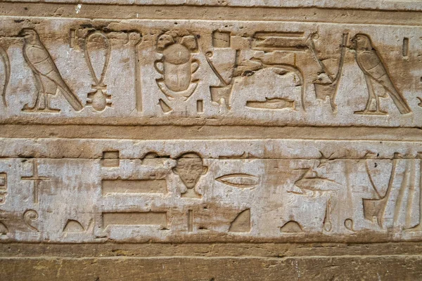 Primer Plano Jeroglíficos Con Escarabajo Templo Edfu —  Fotos de Stock