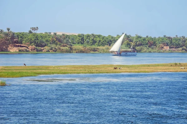 Cruzando Barco Nilo Gaafar Sadik Mientras Navegaba Asuán — Foto de Stock