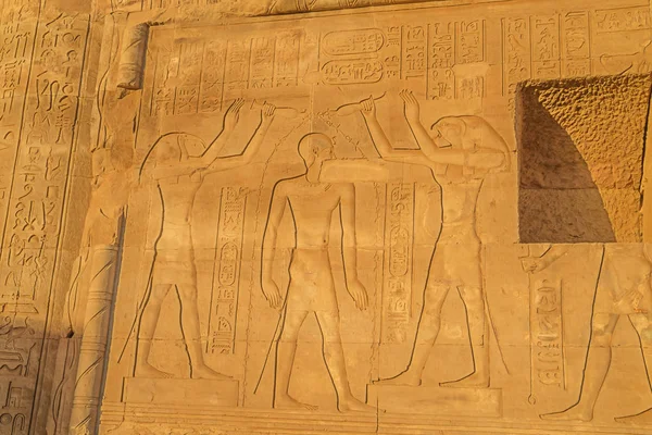 Kom Ombo Tapınağı Nda Toth Horus Tarafından Ptolemeus Xii Arınması — Stok fotoğraf