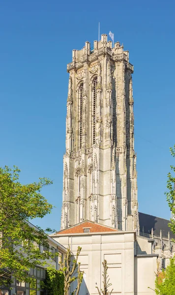 Privind Sus Catedrala Rumbold Din Centrul Mechelen — Fotografie, imagine de stoc