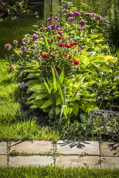 Aiuola giardino fiorito — Foto Stock