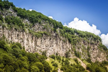 Yaz dağı manzarası