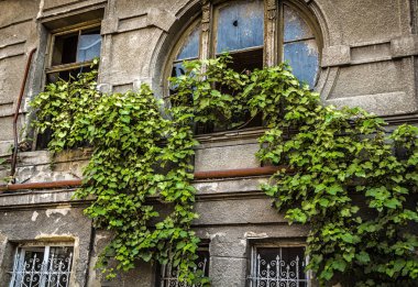 Kırık evde pencere