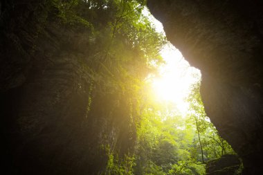 Vahşi geçilmez yerler