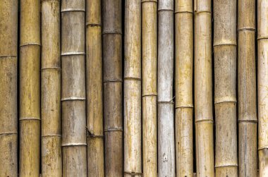 Bambu duvar