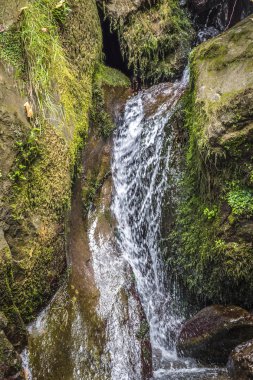 Güzel büyük şelale