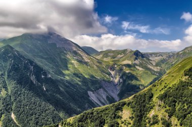 Yaz dağı manzarası