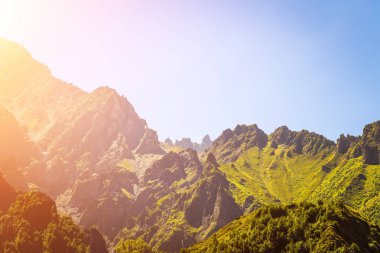 Yaz dağı manzarası