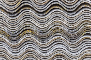 Eski bir yığın kayrak.