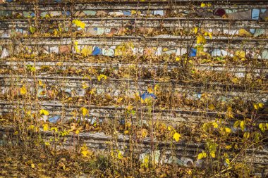 Merdivenlerden çim fazla gelişmiş