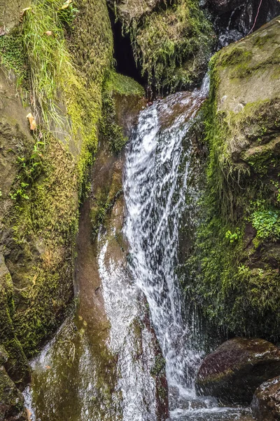 Güzel büyük şelale