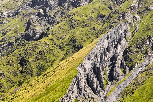 Yaz dağı manzarası