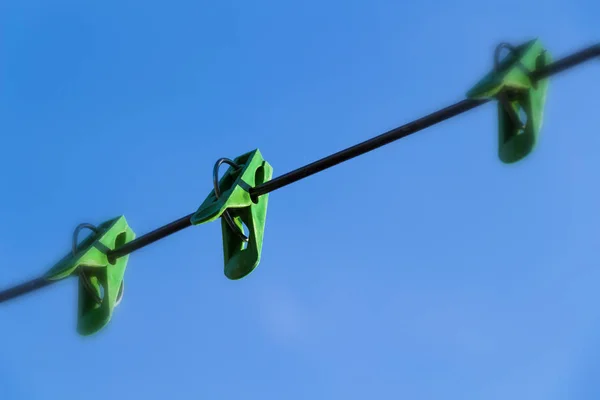 Pinos na corda — Fotografia de Stock