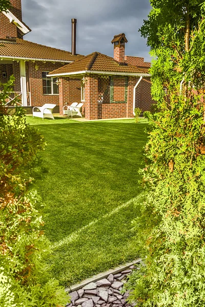 Exactly trimmed grass — Stock Photo, Image