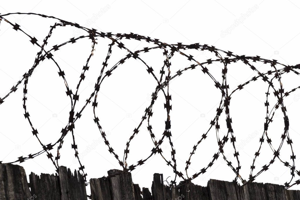 Barbed wire on the fence