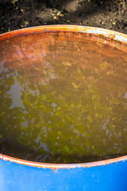 Su ile bir bahçe varil.