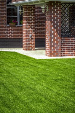 Arka bahçede güzel çim