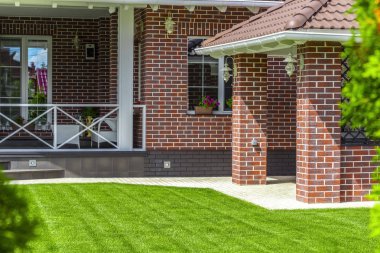 Arka bahçede güzel çim