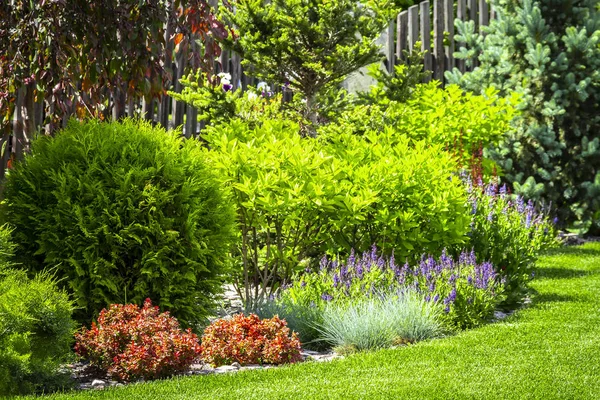 Un jardín de flores en el patio trasero — Foto de Stock