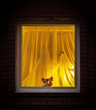 Pencereden gelen ışık