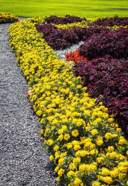 Parlak çiçek yatak