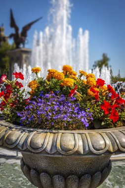 Parlak çiçek yatak