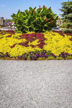 Parlak çiçek yatak