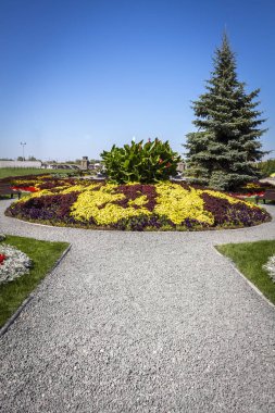 Parlak çiçek yatak