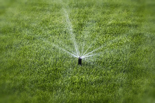 灌溉的过程 — 图库照片