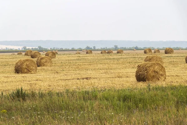 Stroh auf dem Feld verdreht — Stockfoto