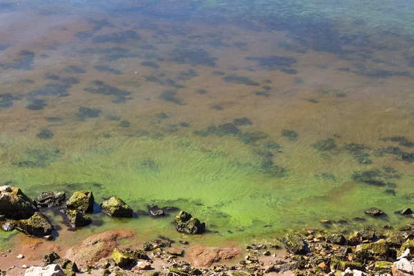 Grünes Schmutzwasser — Stockfoto