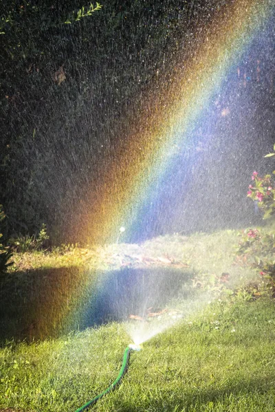 Regenbogen im Garten — Stockfoto