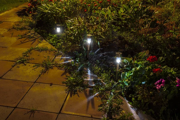 Night garden lights