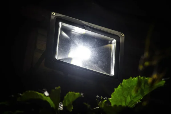 Faretto da giardino LED — Foto Stock
