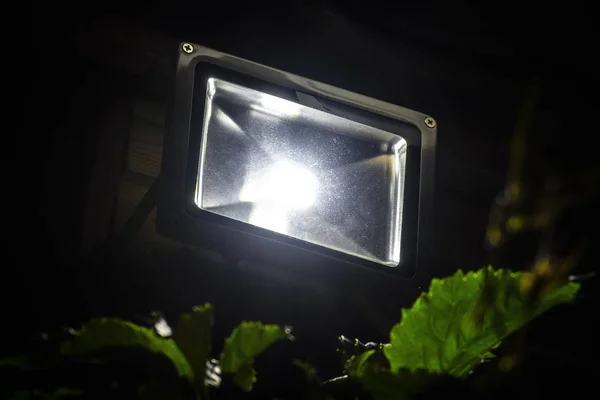 LED Bahçe spot