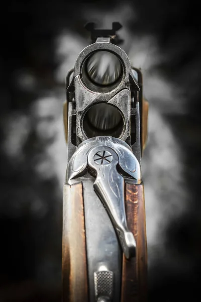 Kmeny lovecké pušky — Stock fotografie