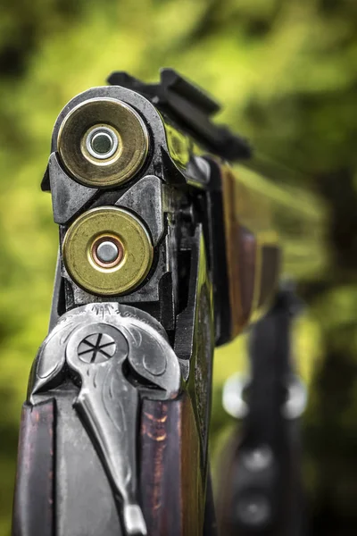 Kmeny lovecké pušky — Stock fotografie