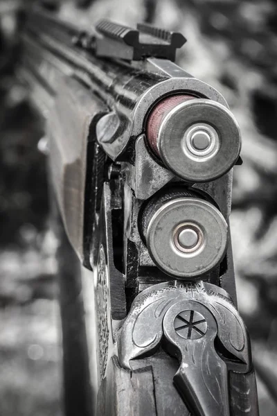Troncos de un rifle de caza — Foto de Stock