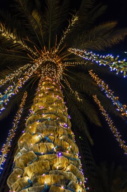 Palmiye ağacında çelenkler