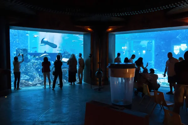 Het verloren kameraquarium — Stockfoto