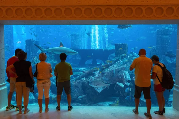 Tourists take pictures of the aquarium — Stock Photo, Image