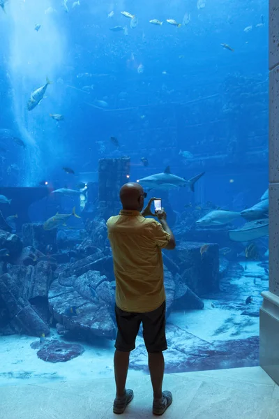 Tourists take pictures of the aquarium — Stock Photo, Image
